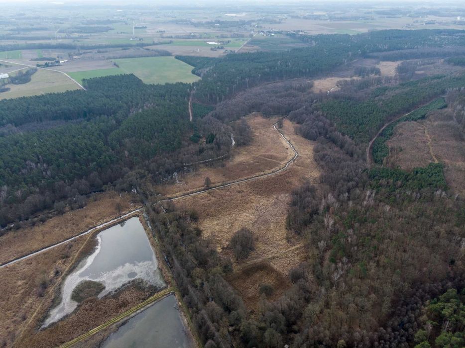 Siedlisko stare stawy 11,5 h - Widok 3