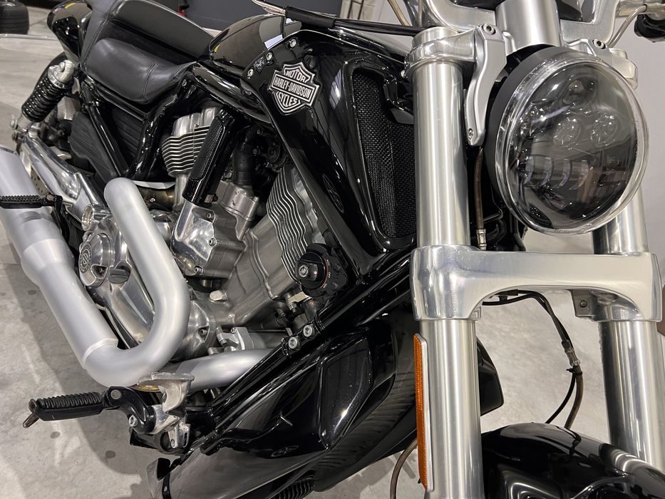 Harley Davidson V Rod Muscle