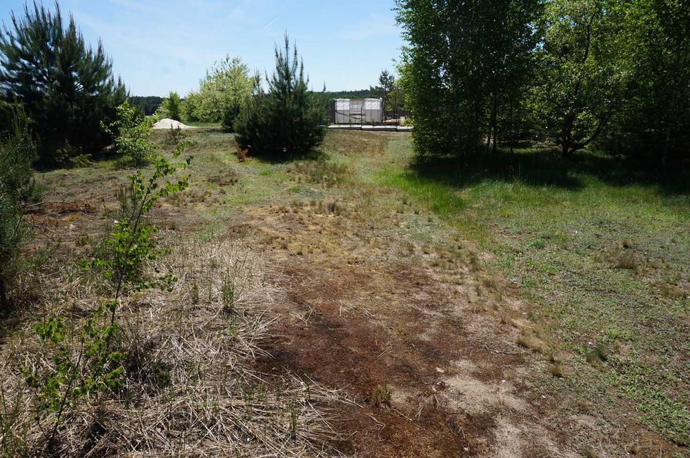 Działka budowlana 792 m2 - Katarzynów gm. Ozorków