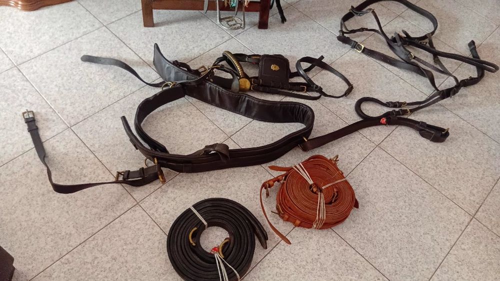 Vendo este material equestre