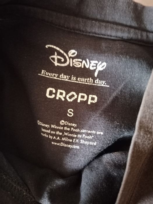 Koszulka król lew Disney