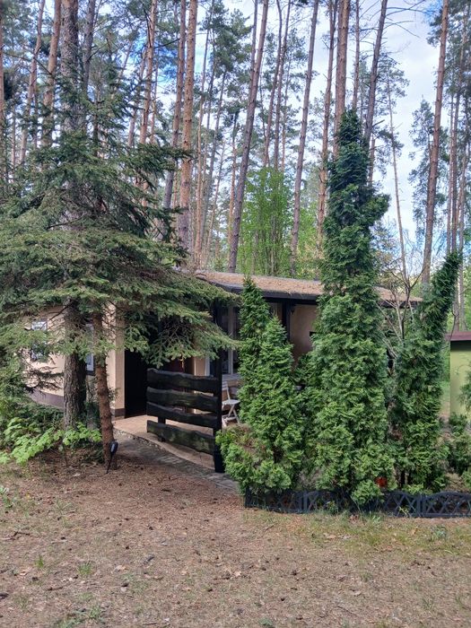 Domek letniskowy blisko Olsztyna