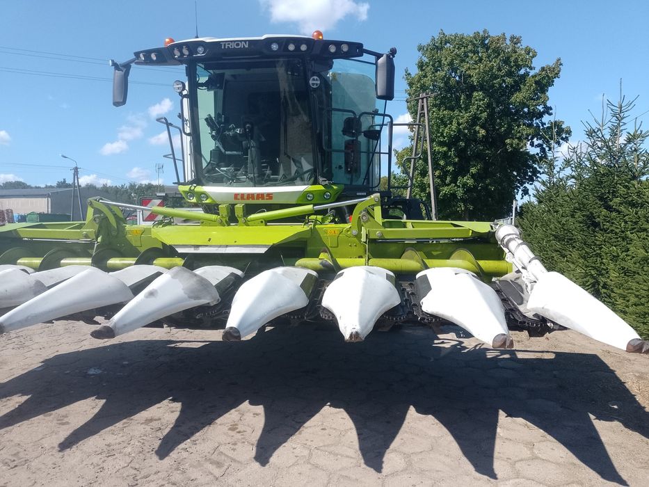 Claas corio 8-75  brutto 2018