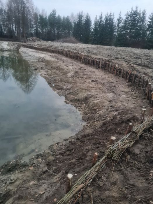 Faszynowanie brzegów stawu kopanie zabespieczanie kiszką faszynową