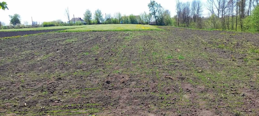 Продам будинок Уланів ( село Рибчинці )