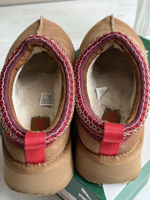 Ugg Tazz замшеві капці