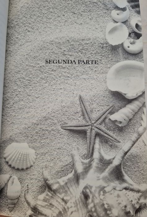 A Praia da Memória
