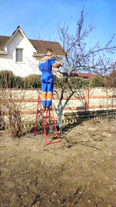 Зріз дерев Калинівка | Арбористика | Садівник | Розчищення ділянок