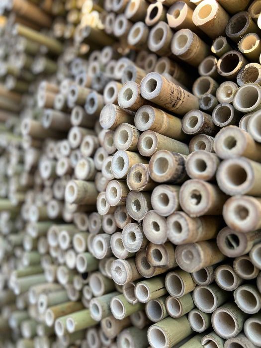 Tyczka bambusowa sadownicza 295cm 28/30mm