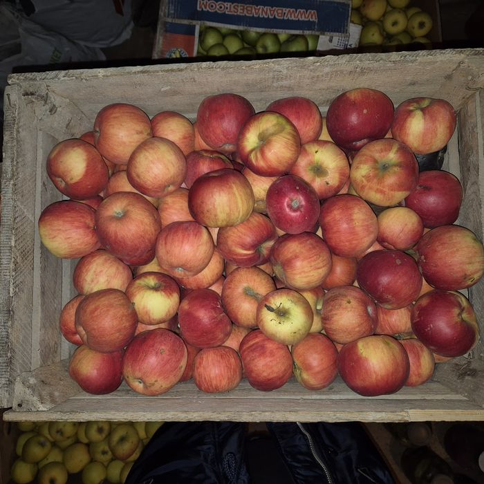 Продам ЯБЛУКА з власного саду