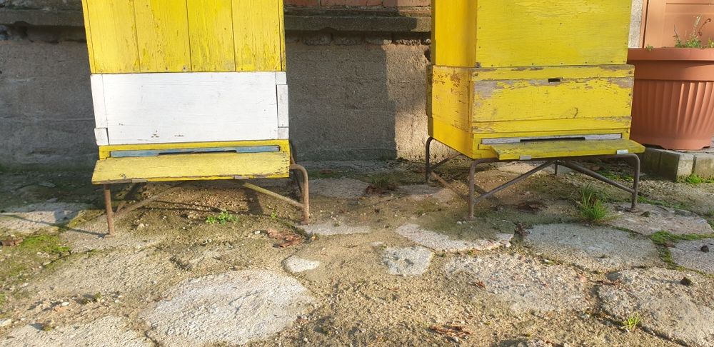 Sprzedam Ule Wielkopolskie