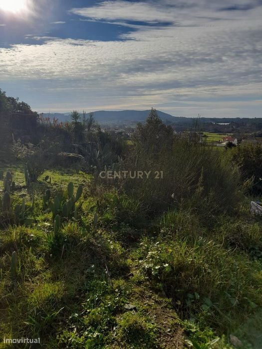 Terreno à Venda em Viana do Castelo - 2420m² por 50.000€