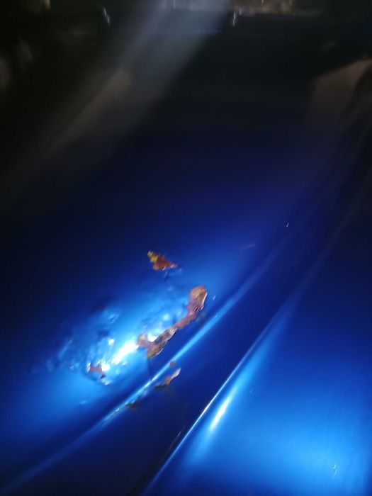 Автомобиль Газ-20 "Победа" (+донор+запчасти!)