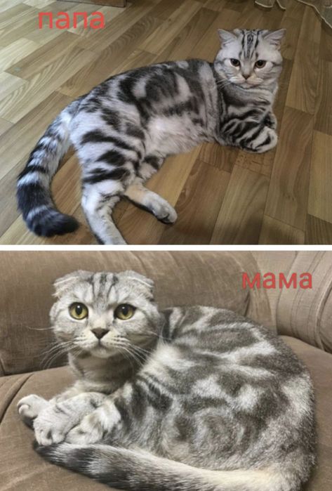 очаровательные малыши