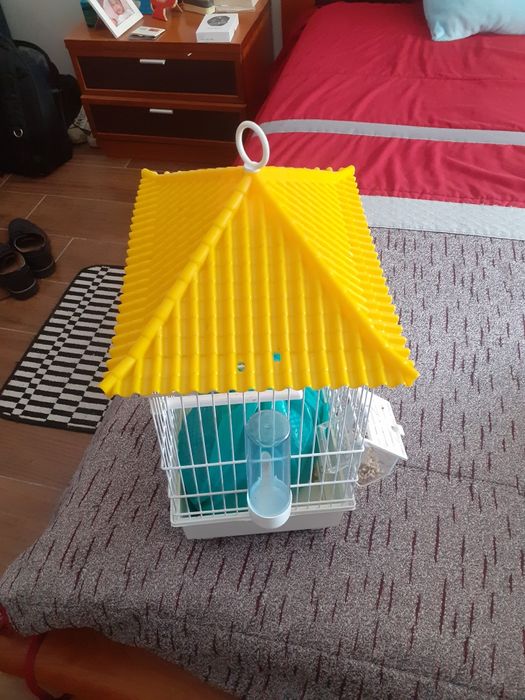 Casinha para pássaro