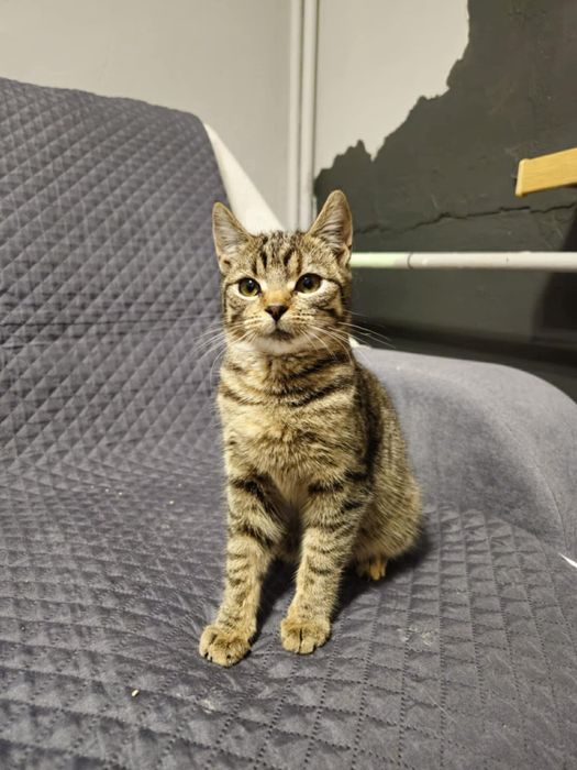 Piekna Mrozia prosi o dom