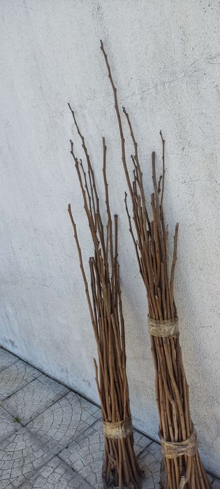 Estacas para arranjos