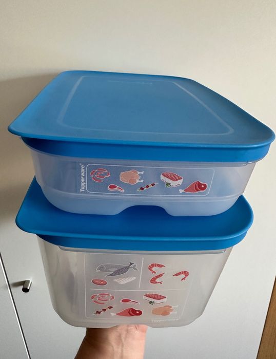 2 Caixas (1.8L + 4.4L) Peixe / Carne Tupperware