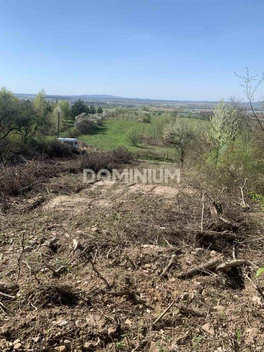 Продаж земельної ділянки на Чорній Горі, м. Виноградів (СТ "Полкова")