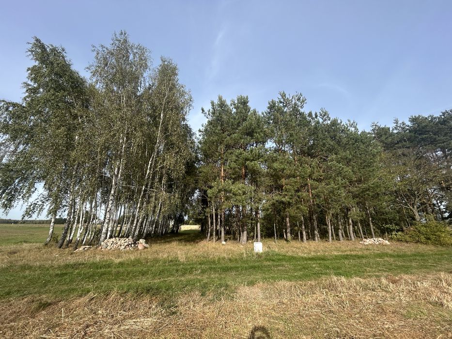 Działka rolno-budowlana z siedliskiem, spokojna okolica, media w dzialce, Prawda Nowa, gm. Stoczek Łukowski - Widok 4