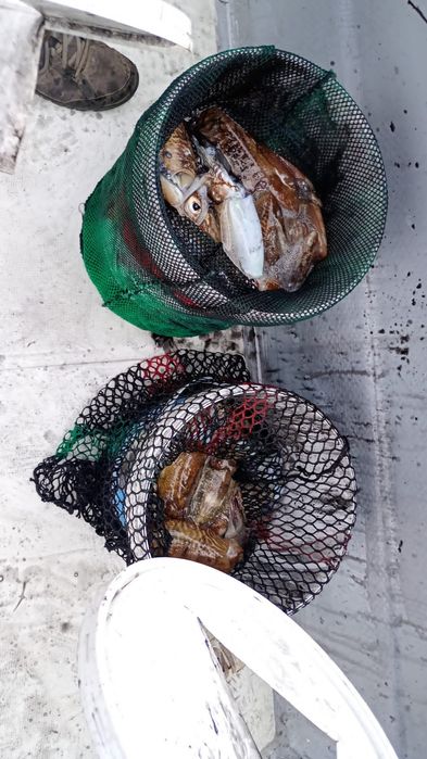 Pesca desportiva, embarcada.