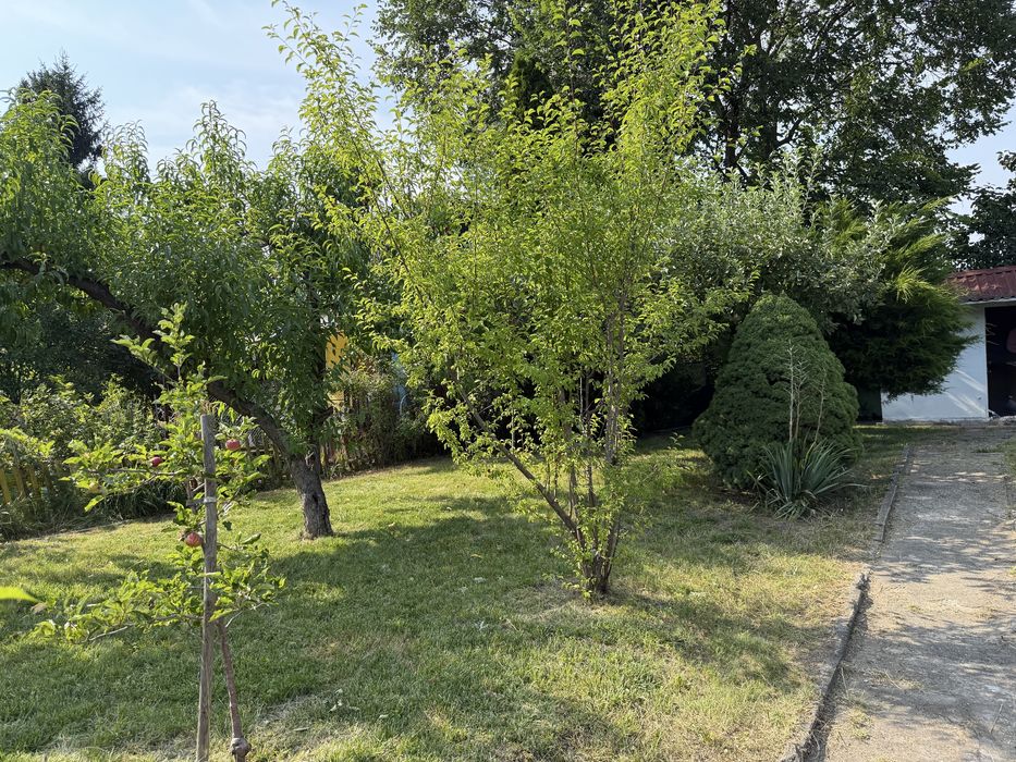Działka ROD Rakowiec Wrocław