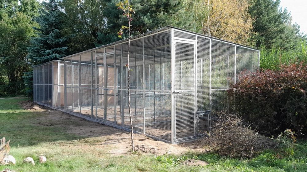 Woliera dla kota ptaków zwierząt 3x2 4x2 4x3