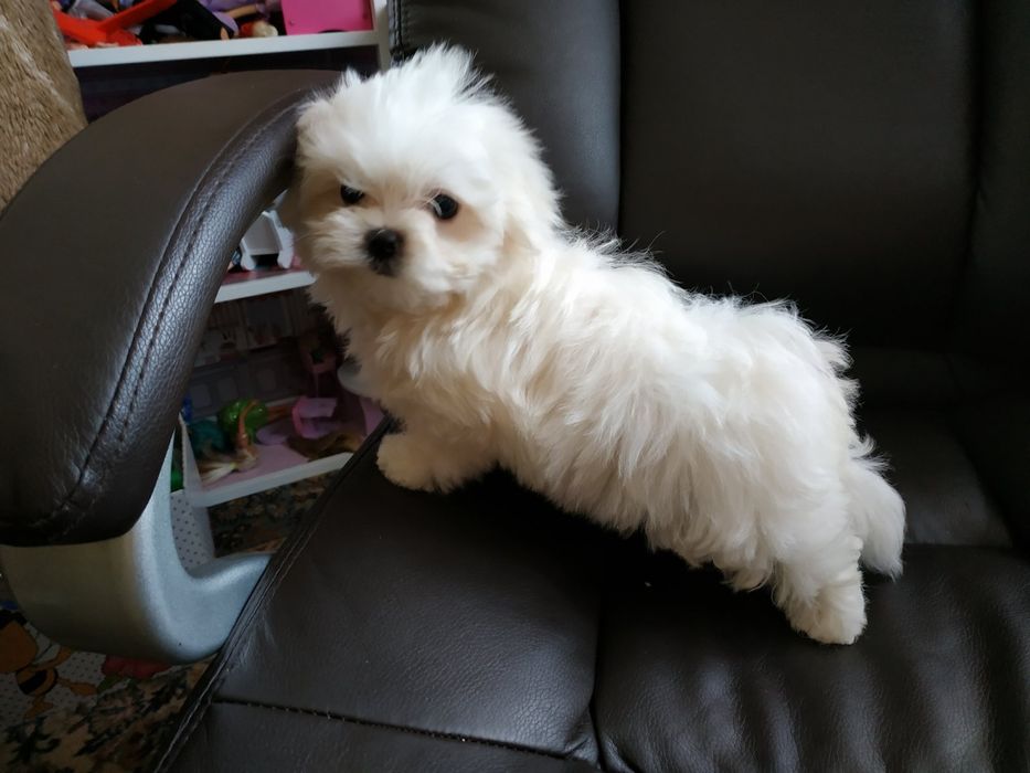 Щастя Можна Купити!!!