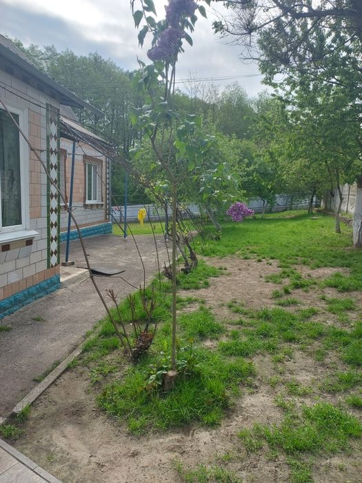 Будинок , Київська область.