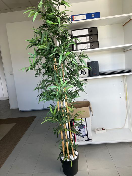 Planta artificial de bamboo