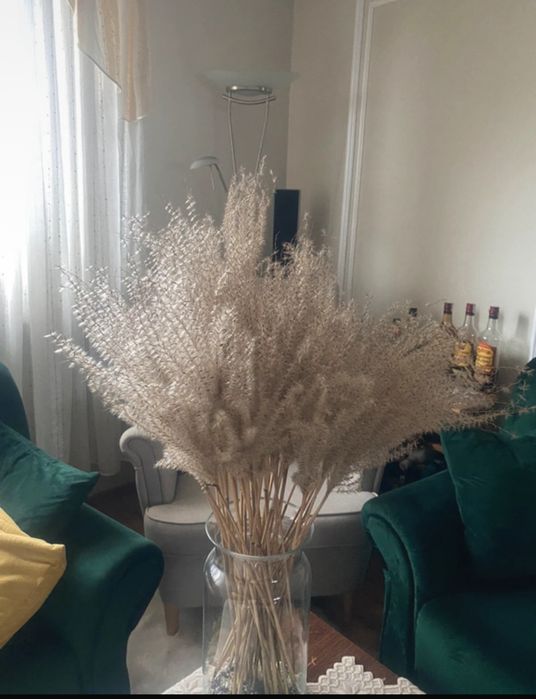 ozdoby trawa pompasowa HOME&YOU