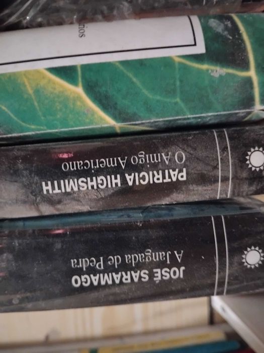 conjunto de vários livros/vários autores