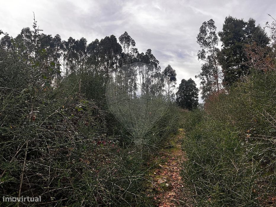 Terreno  para venda
