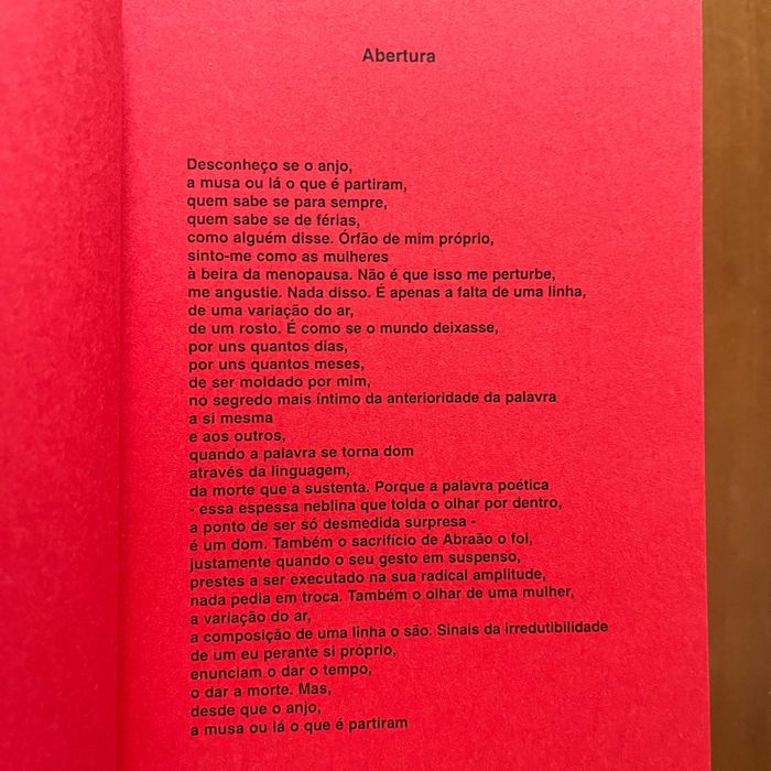 José Fernando Guimarães - O Caminho da Definição