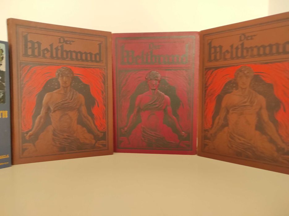 Старинные книги. Иллюстрированная история I й мировой войны.