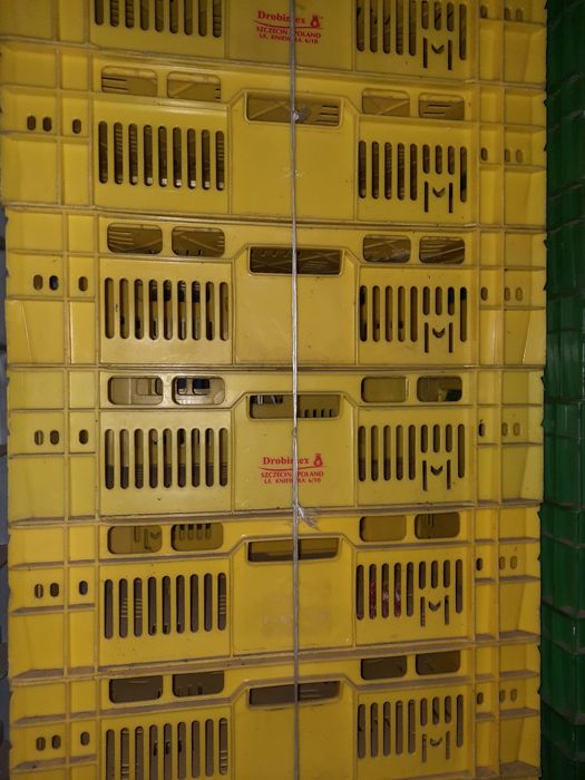 SKRZYNKI na wiśnie Czereśnie warzywa.