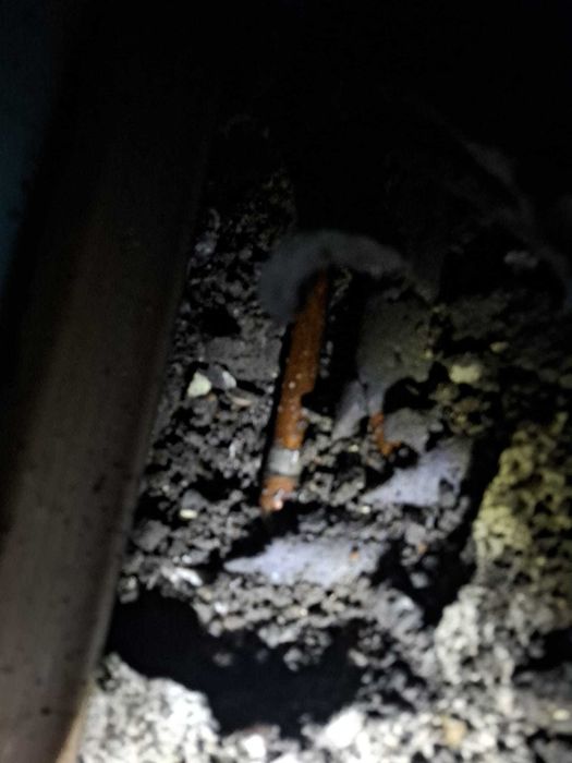 Lokalizacja wycieków, przykrych zapachów, kuny w dachu