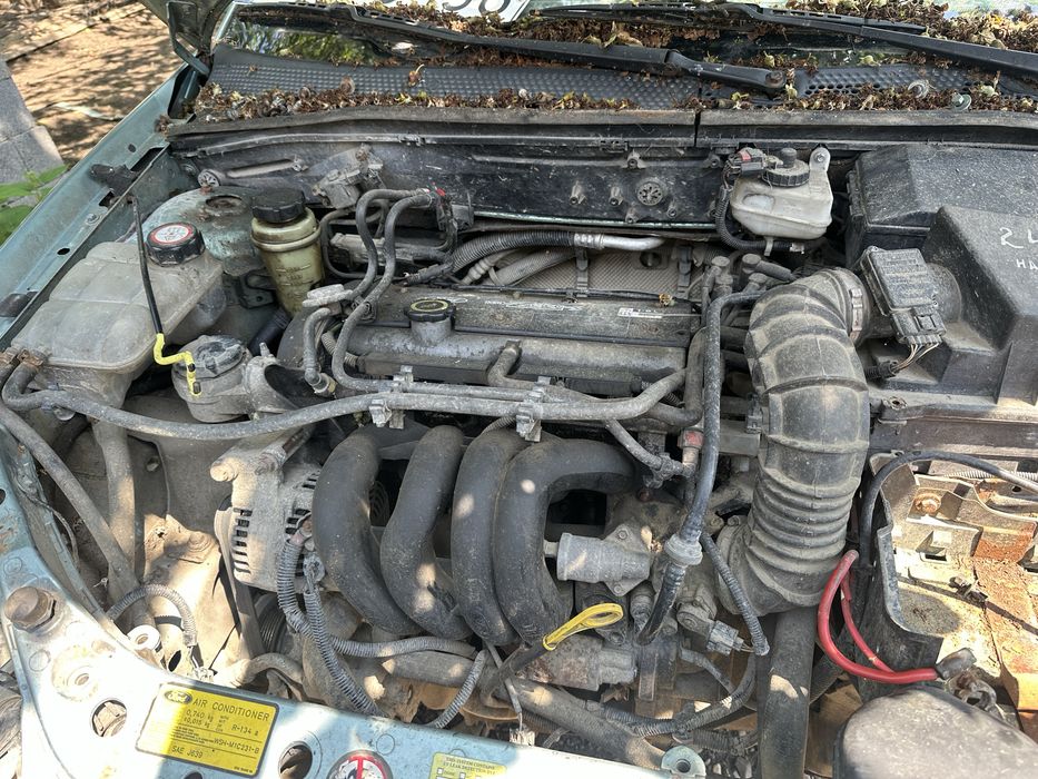 Двигун ford focus 1.6 zetec 3