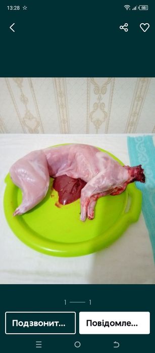 М'ясо кролика продам
