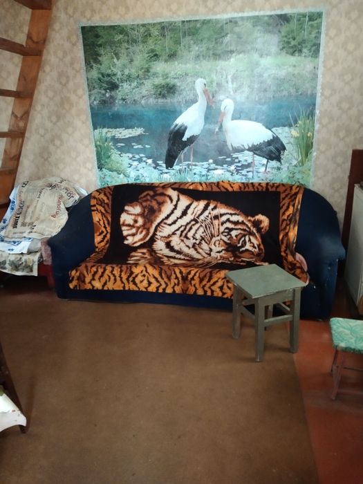 Продам дачу Солоницівка