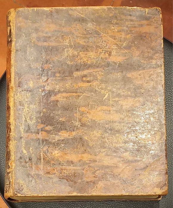 Magnum Lexicon Novissimo Latinum et Lusinanum Emmnuelia Joseph Ferrei