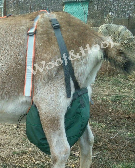 Бюстгальтер, ліфчик для кози. Сумка для вимені