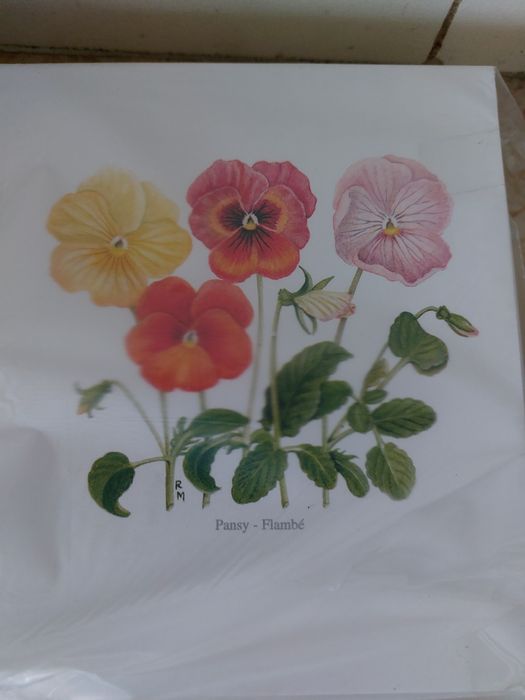 Lote de 3000 Postais Wells & Winter