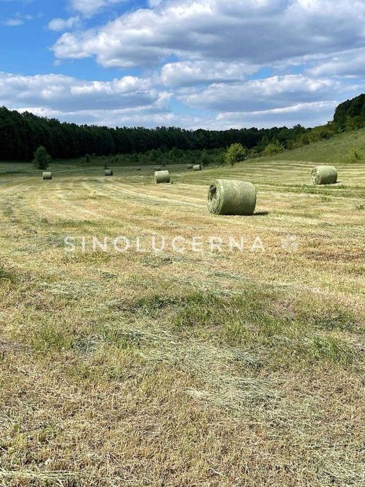 Сіно лугове різнотравʼя в круглих тюках. Укос 2025 року