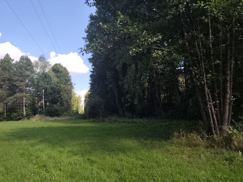 Działka leśna 4712 m² – zabudowa letniskowa – Iły/Jadów