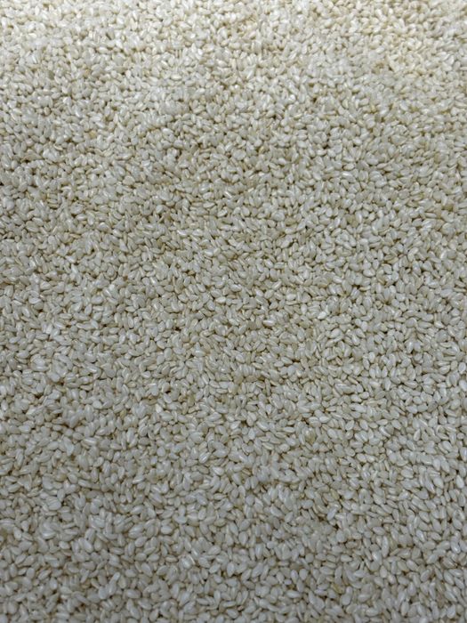 Кунжут білий, чорний від 100г