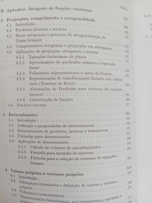Álgebra Linear como introdução a Matemática Aplicada