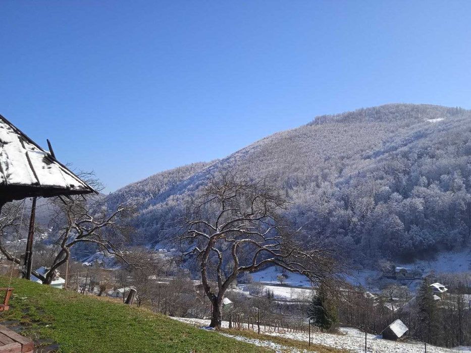здаються будиночки в Карпатах з краєвидом