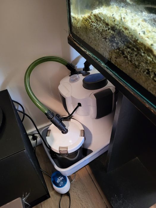 Akwarium 250l z pyszczakami