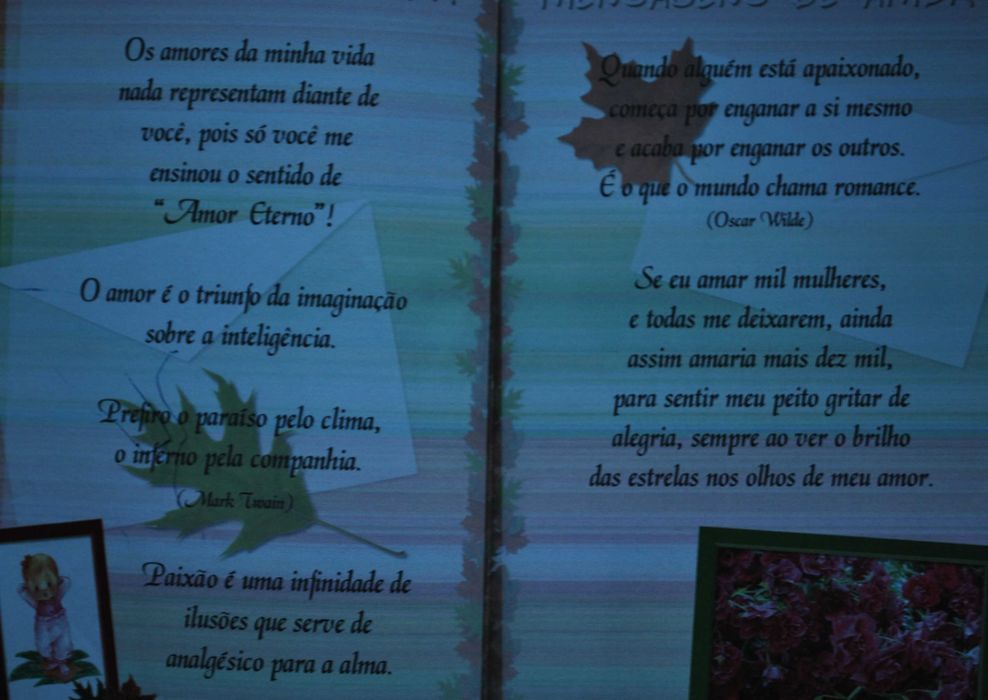 Mensagens de Amor (229 Mensagens de Amor)